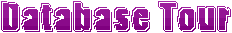 Database tool and report generator